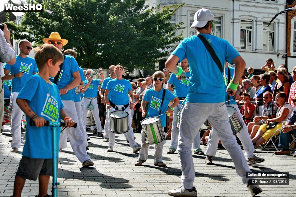 8/39 photos du spectacle Zomer Carnaval 2013