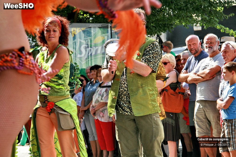 13/39 photos du spectacle Zomer Carnaval 2013