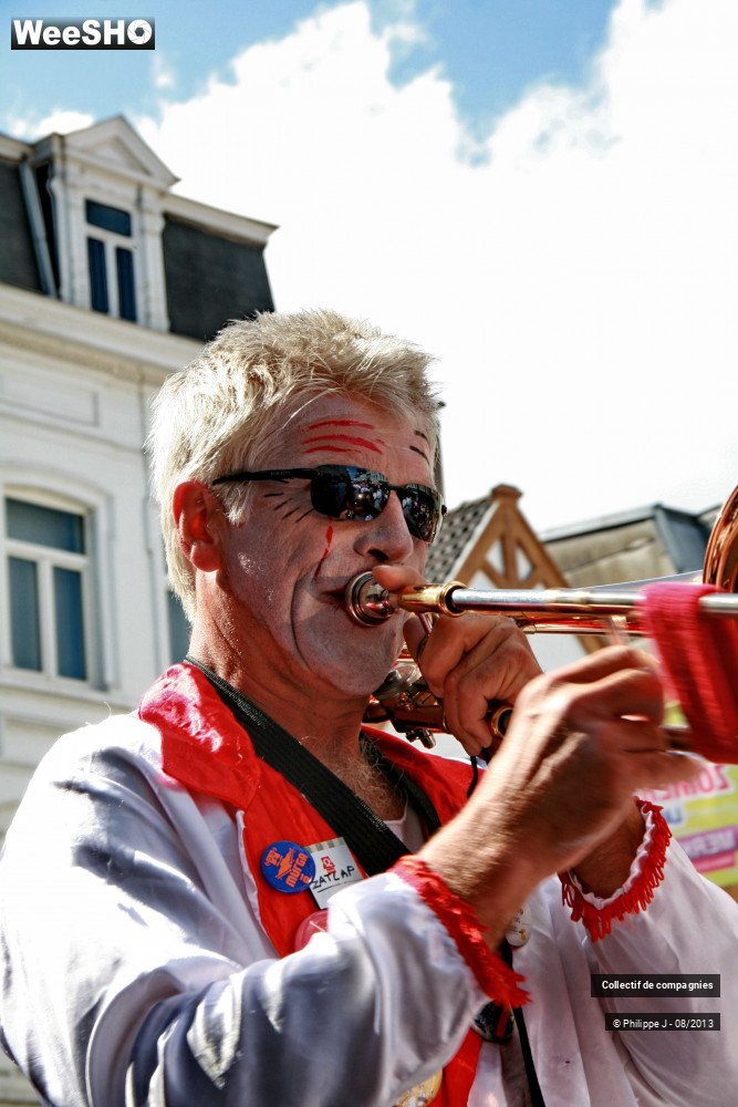 16/39 photos du spectacle Zomer Carnaval 2013