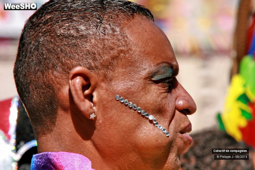 17/39 photos du spectacle Zomer Carnaval 2013