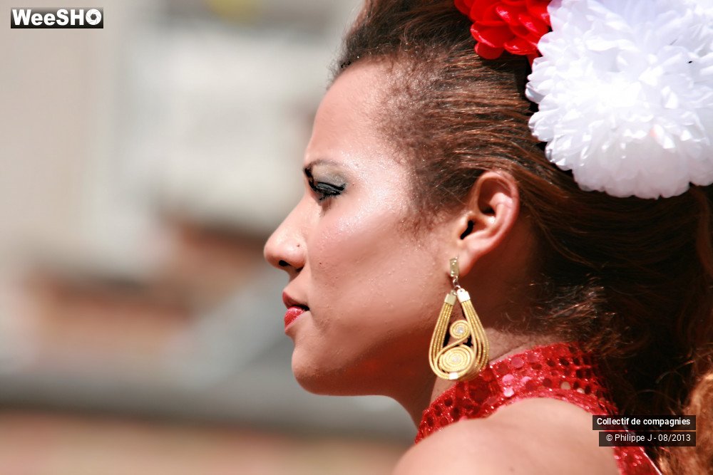 19/39 photos du spectacle Zomer Carnaval 2013