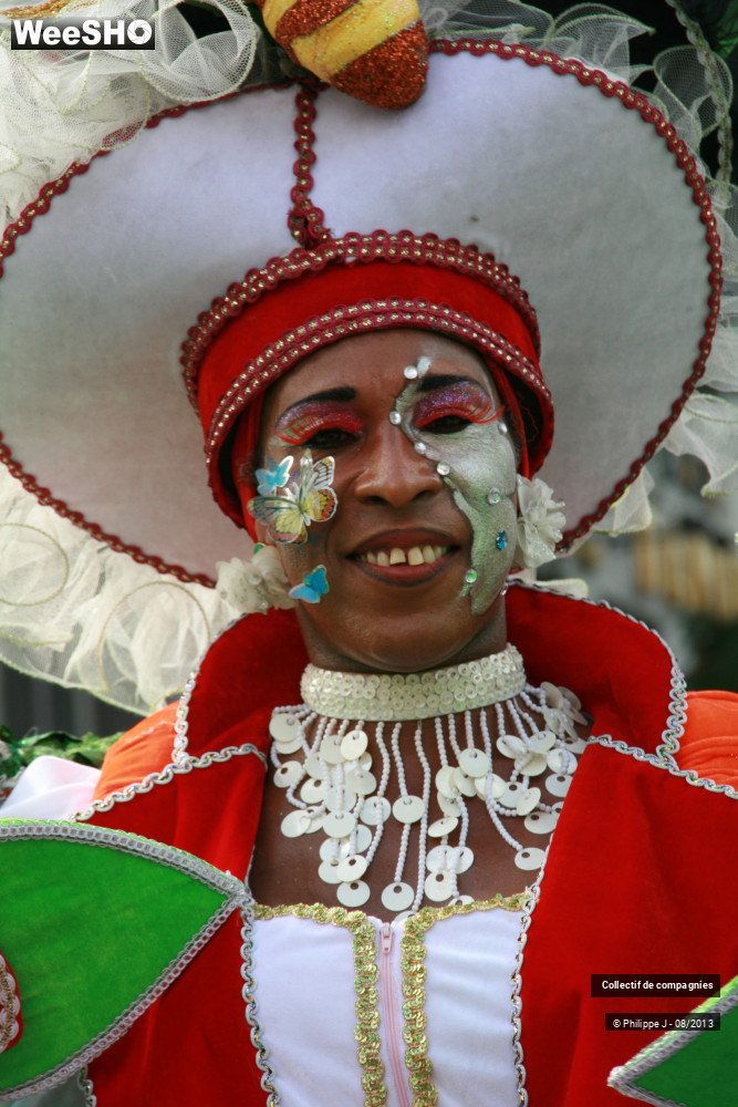 30/39 photos du spectacle Zomer Carnaval 2013