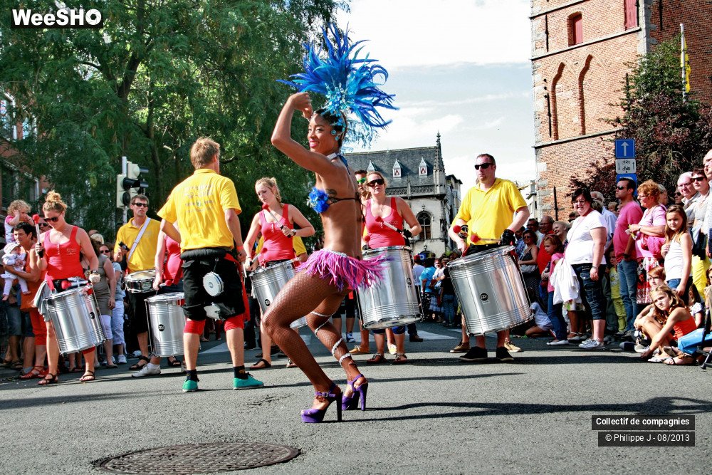 32/39 photos du spectacle Zomer Carnaval 2013