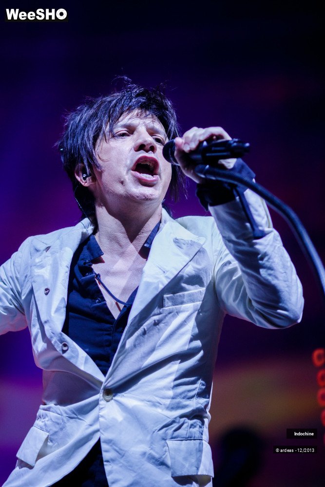 29/45 photos du spectacle Indochine