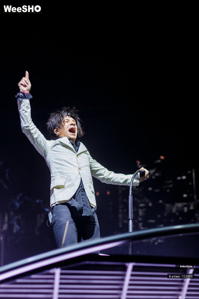 30/45 photos du spectacle Indochine