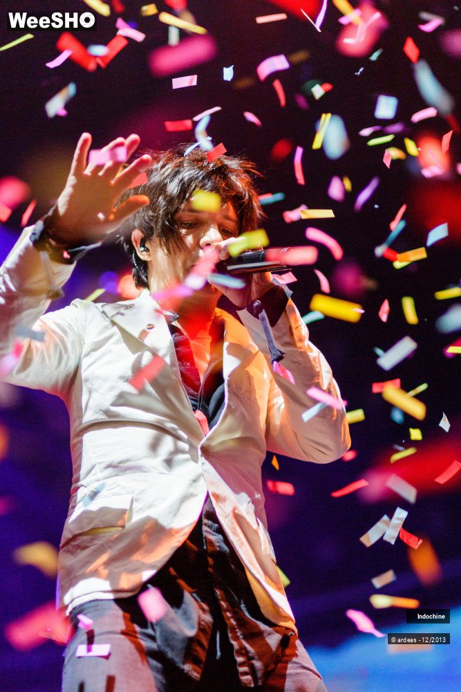 35/45 photos du spectacle Indochine