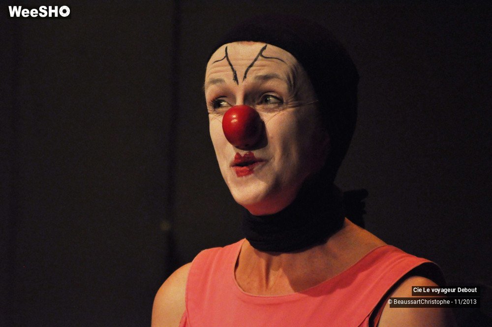 52/59 photos du spectacle Les Jours Heureux