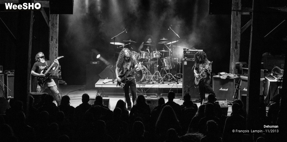 26/32 photos du spectacle Dehuman