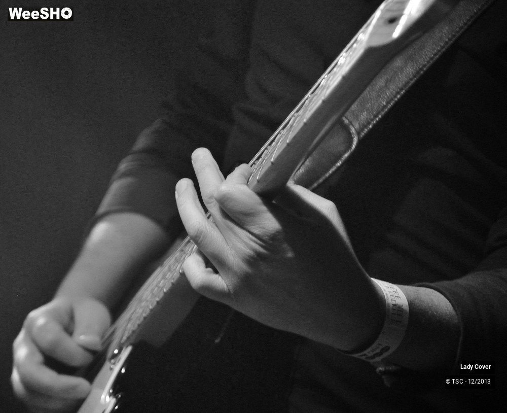 23/49 photos du spectacle Lady Cover