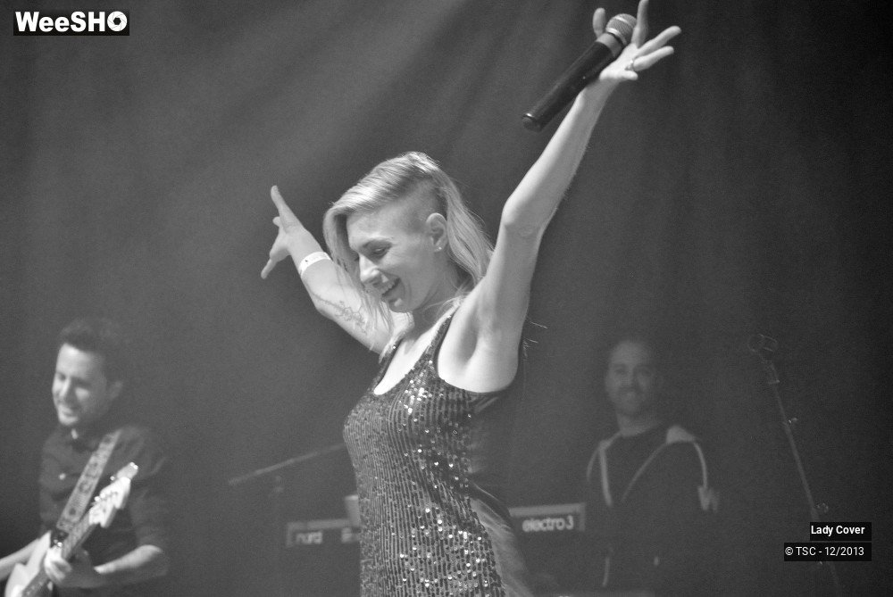 29/49 photos du spectacle Lady Cover