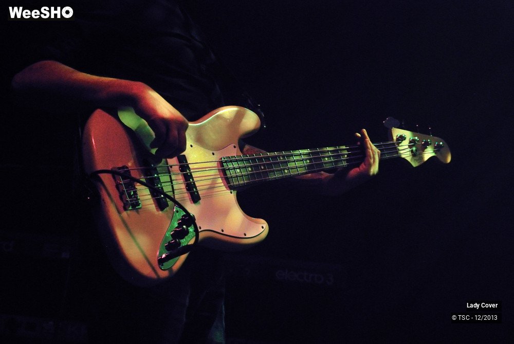 35/49 photos du spectacle Lady Cover