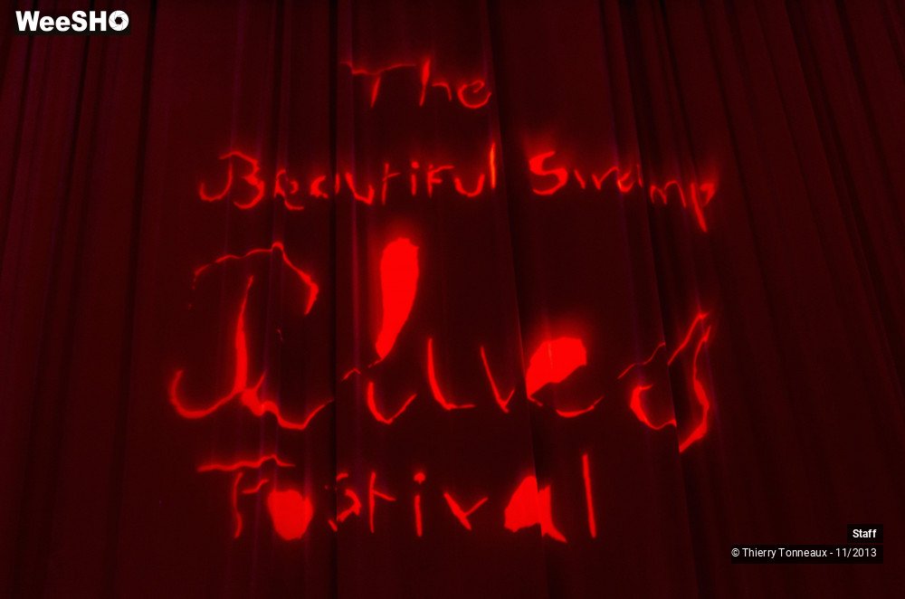4/16 photos du spectacle Beautiful Swamp Blues Festival - Ambiance