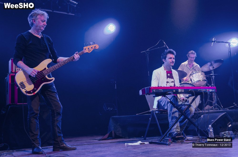30/49 photos du spectacle The Blues Power Band