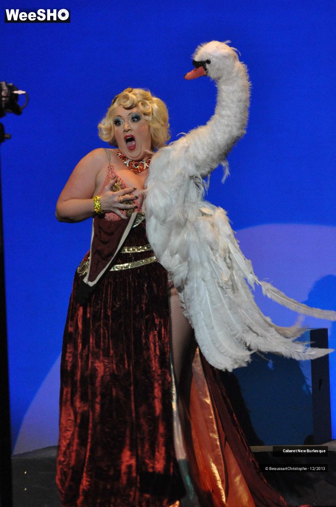 60/60 photos du spectacle Cabaret New Burlesque