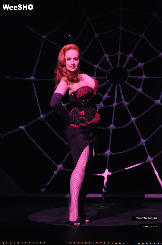 16/60 photos du spectacle Cabaret New Burlesque