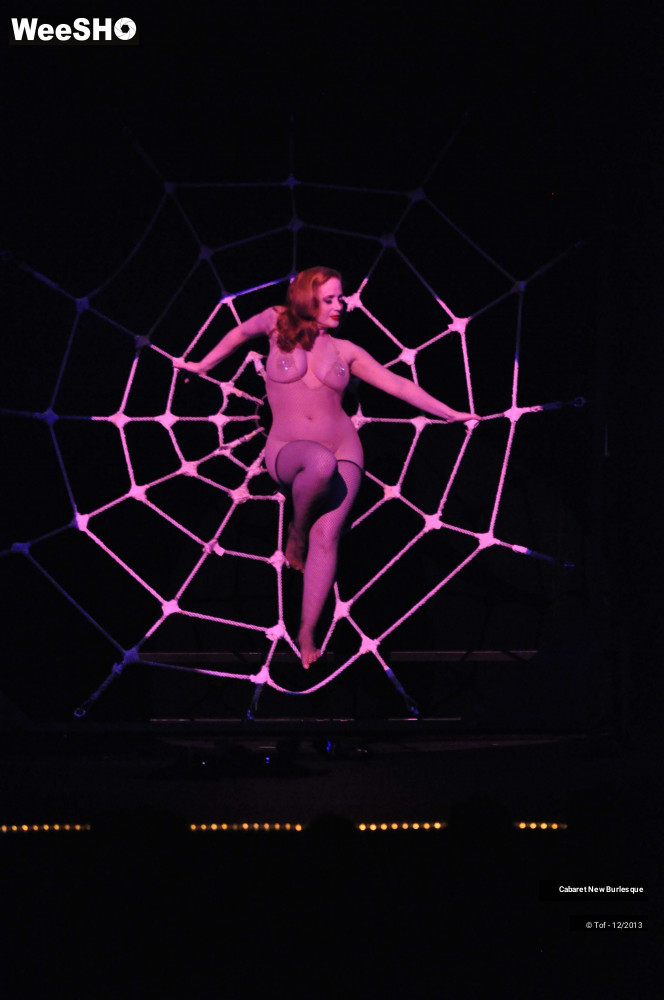 19/60 photos du spectacle Cabaret New Burlesque