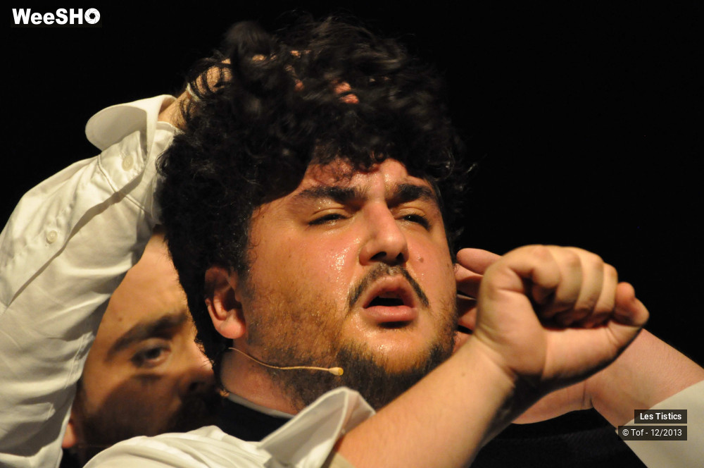 16/59 photos du spectacle Les Franglaises