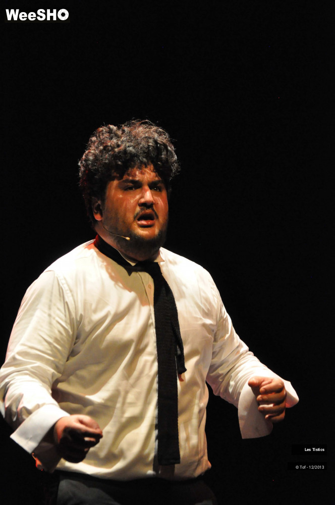 31/59 photos du spectacle Les Franglaises