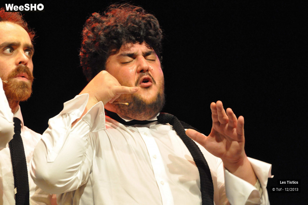 43/59 photos du spectacle Les Franglaises