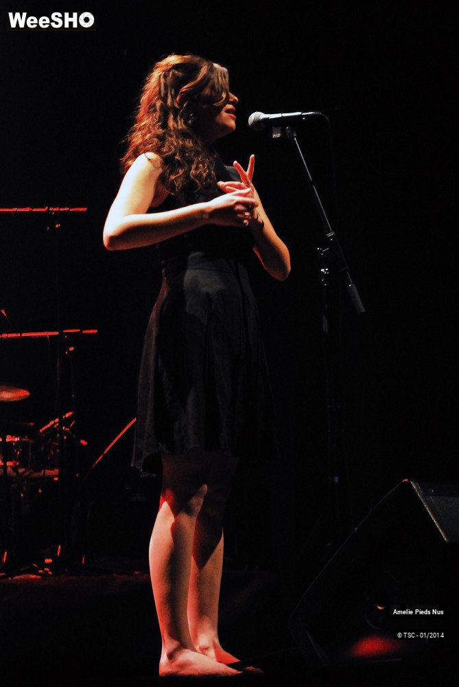 28/33 photos du spectacle Amélie Pieds Nus