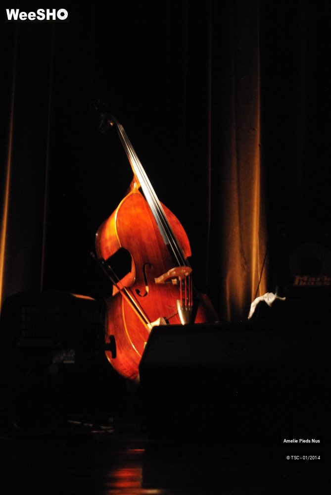 32/33 photos du spectacle Amélie Pieds Nus