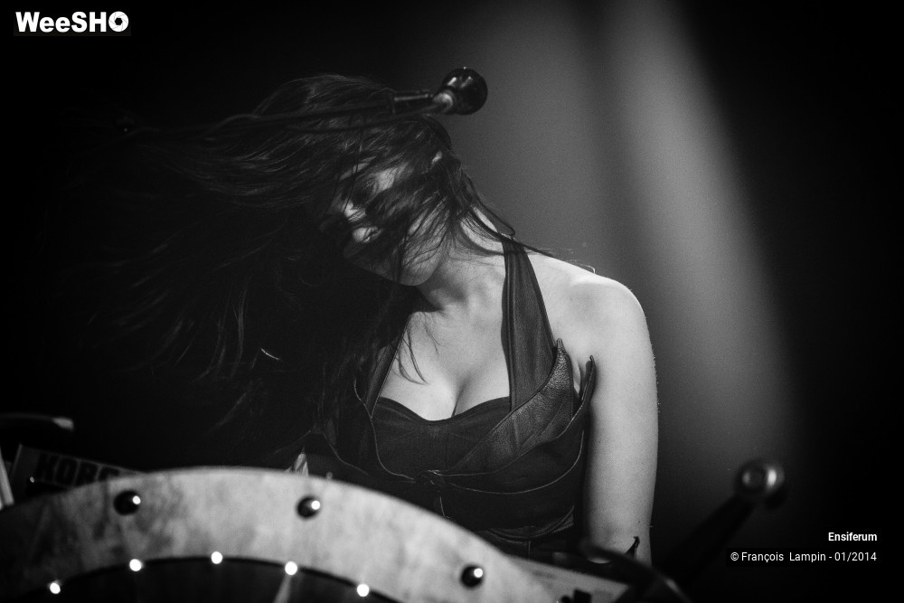 3/37 photos du spectacle Ensiferum