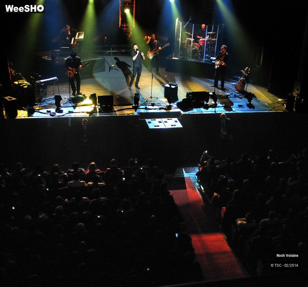 8/10 photos du spectacle Roch Voisine