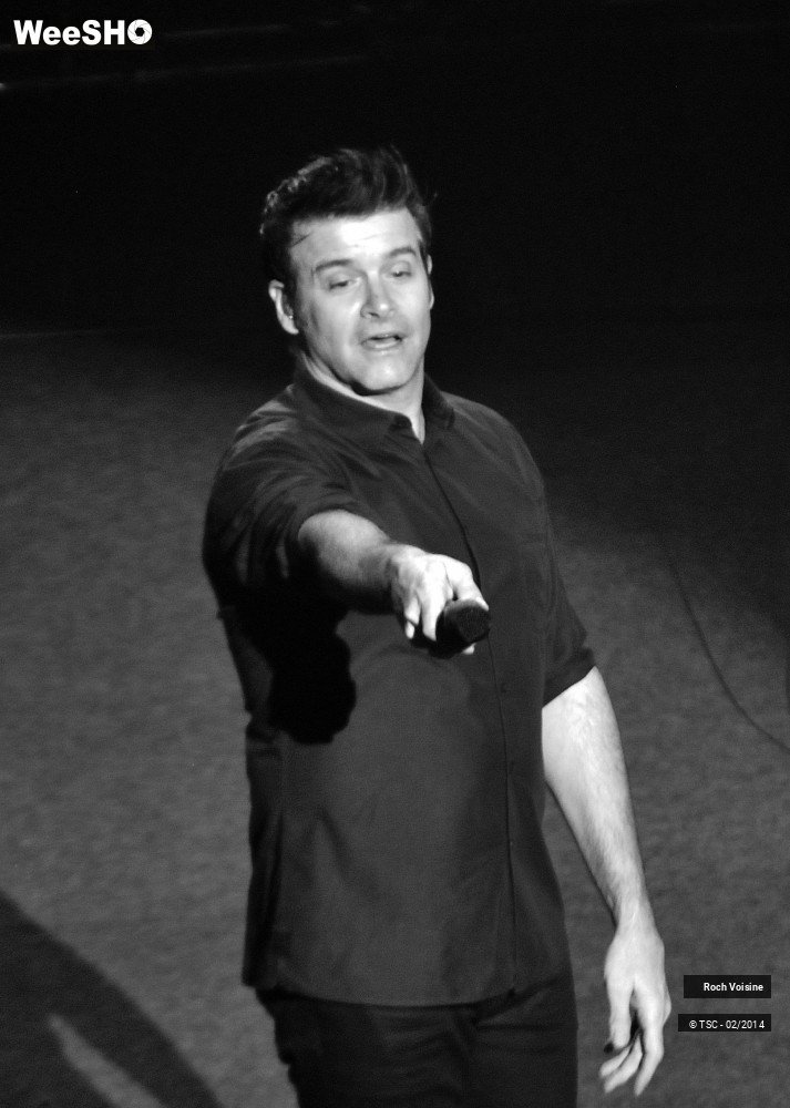 9/10 photos du spectacle Roch Voisine