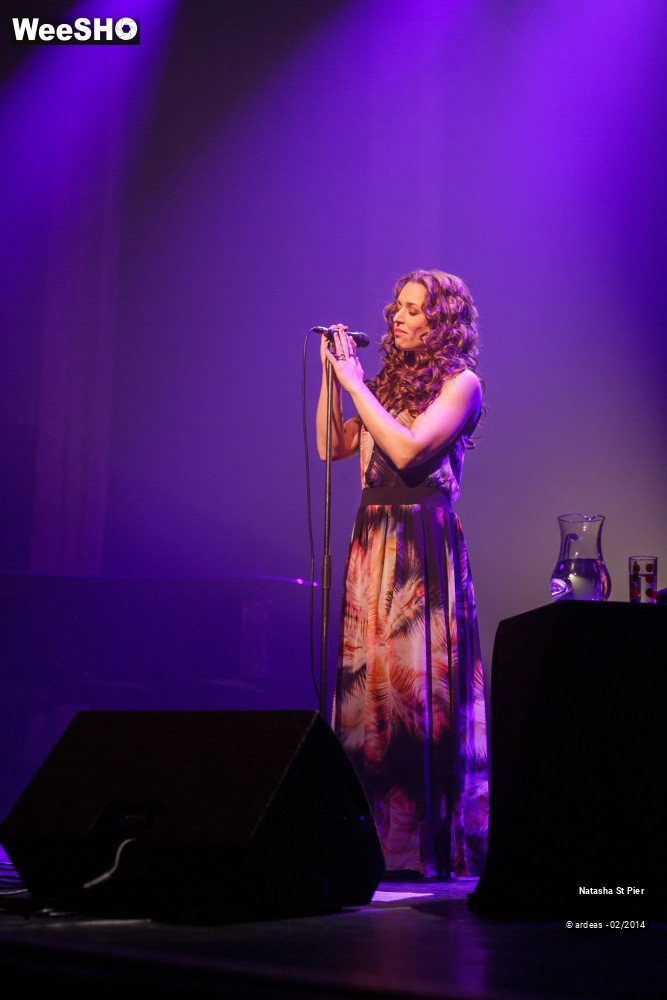 34/41 photos du spectacle Natasha St Pier