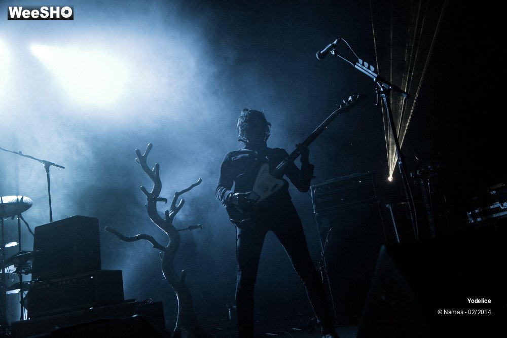 10/33 photos du spectacle Yodelice