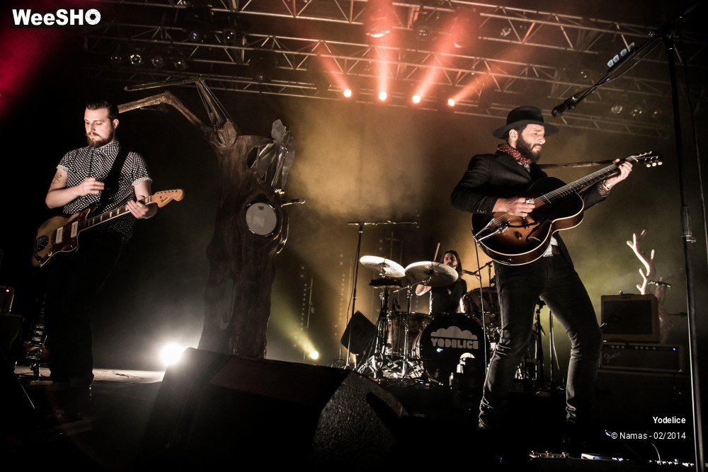 11/33 photos du spectacle Yodelice