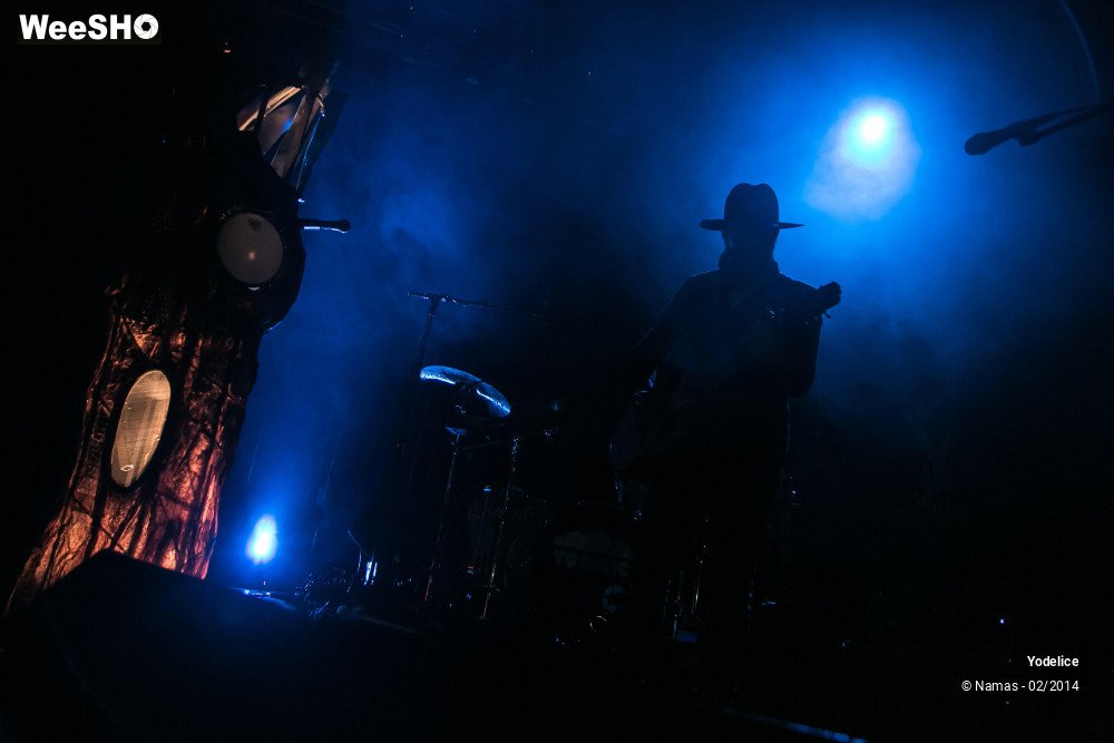 12/33 photos du spectacle Yodelice