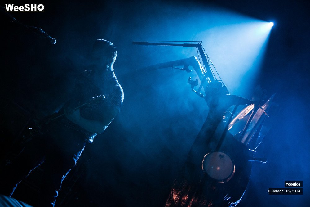 22/33 photos du spectacle Yodelice