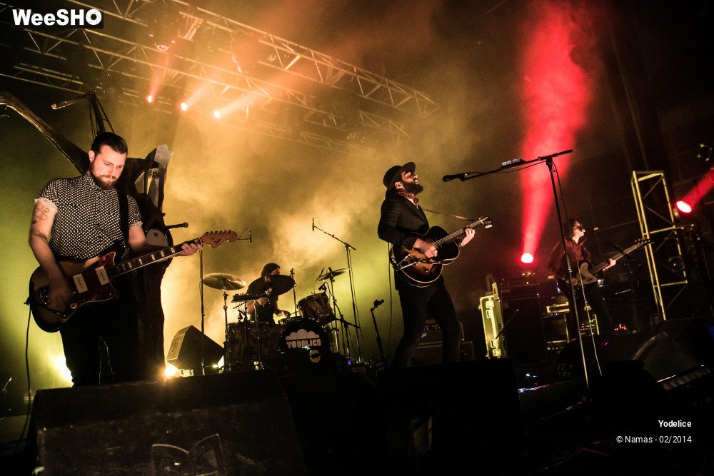 23/33 photos du spectacle Yodelice
