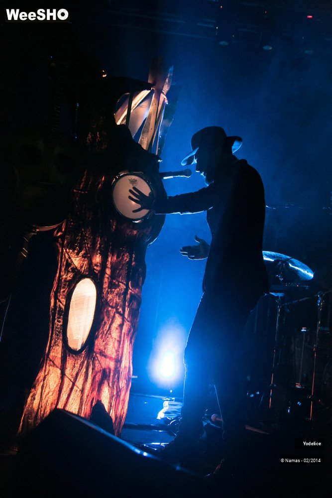 28/33 photos du spectacle Yodelice