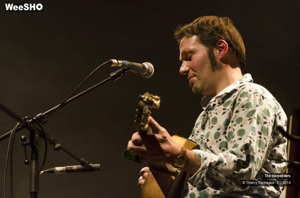 8/50 photos du spectacle The Harpsliders