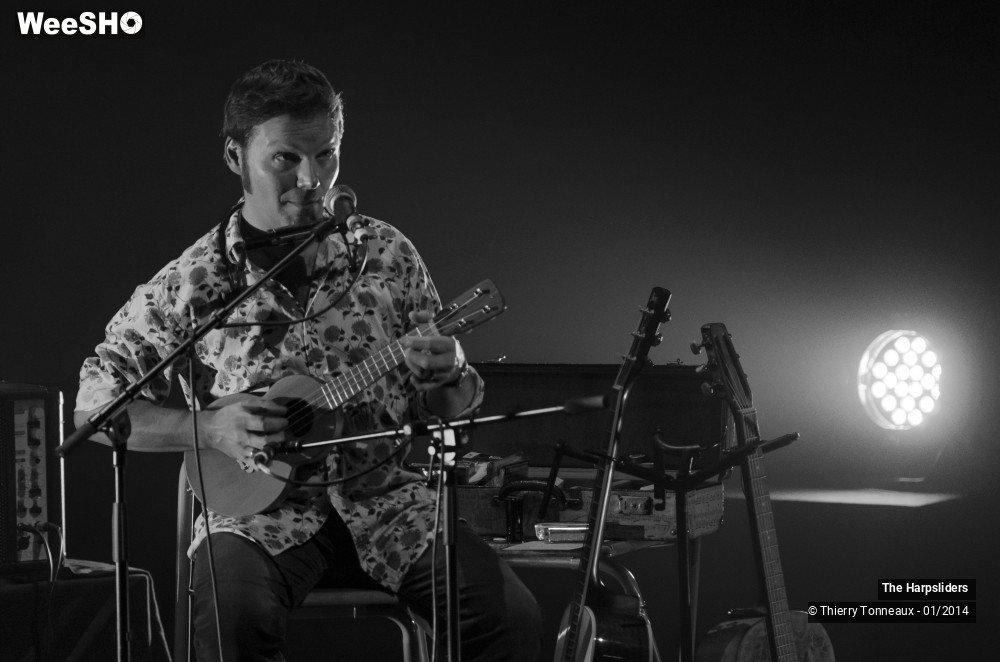 12/50 photos du spectacle The Harpsliders