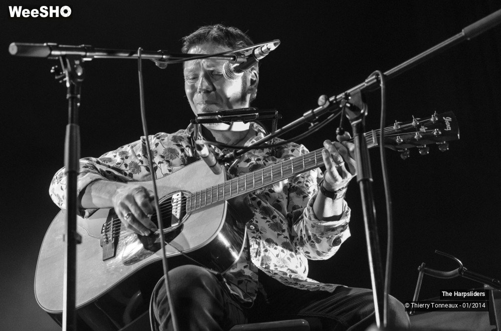 14/50 photos du spectacle The Harpsliders