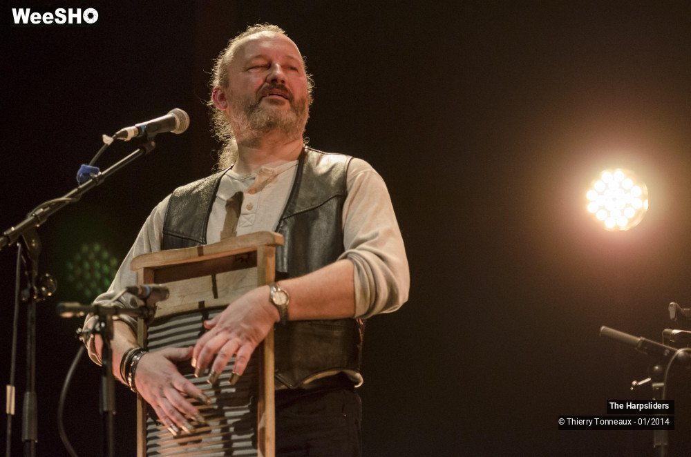 17/50 photos du spectacle The Harpsliders