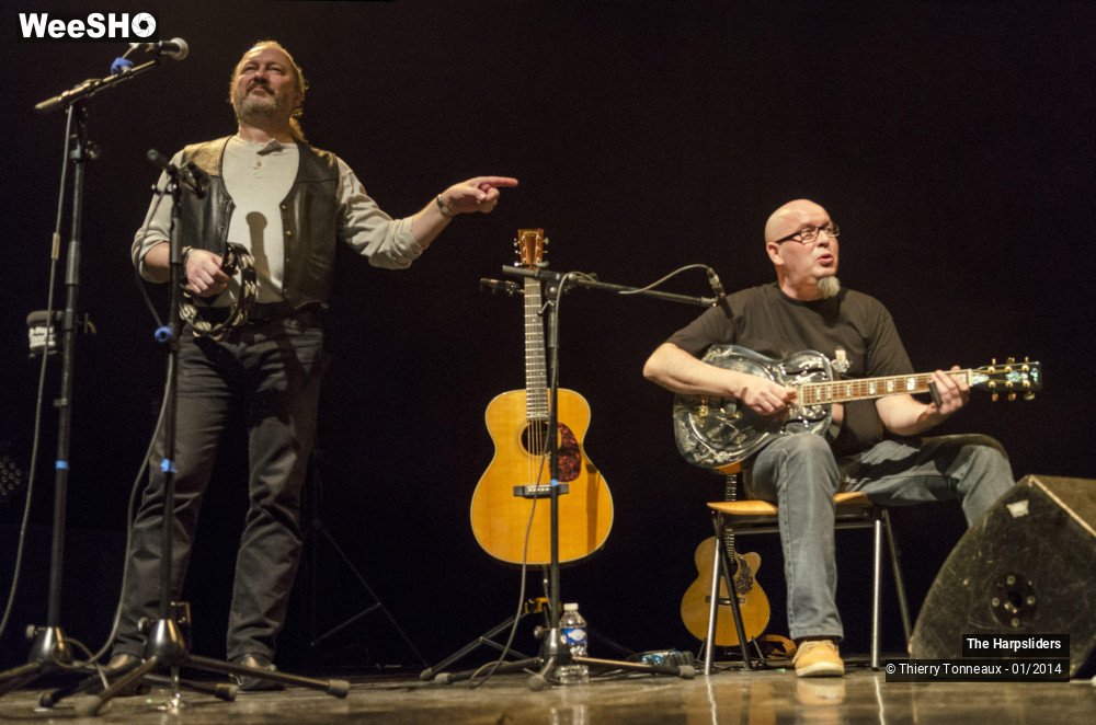 18/50 photos du spectacle The Harpsliders