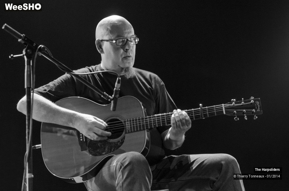 20/50 photos du spectacle The Harpsliders