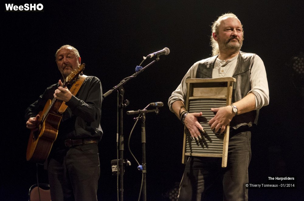 22/50 photos du spectacle The Harpsliders