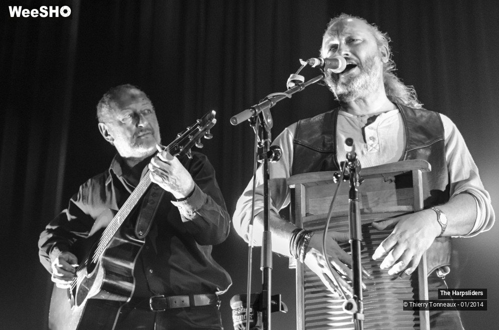 24/50 photos du spectacle The Harpsliders