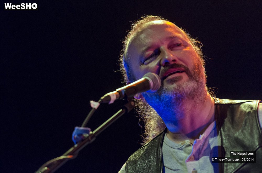 25/50 photos du spectacle The Harpsliders