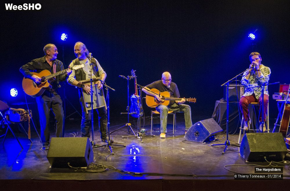 27/50 photos du spectacle The Harpsliders