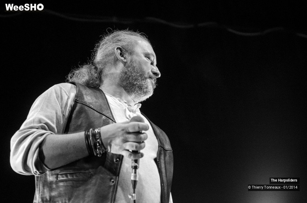 29/50 photos du spectacle The Harpsliders