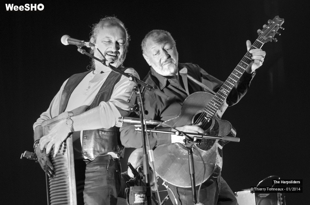 30/50 photos du spectacle The Harpsliders