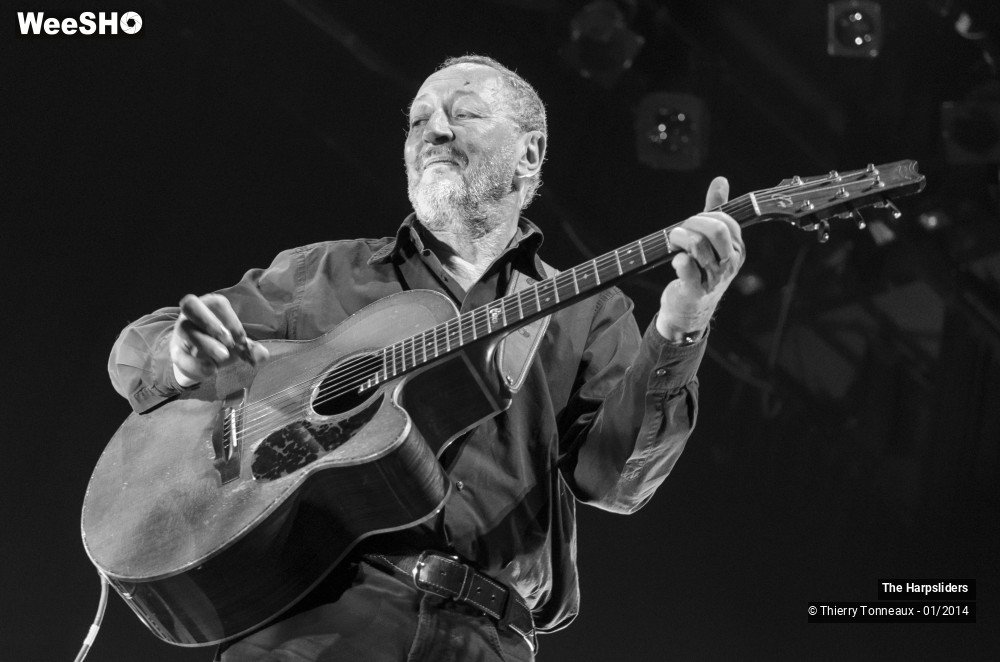 31/50 photos du spectacle The Harpsliders