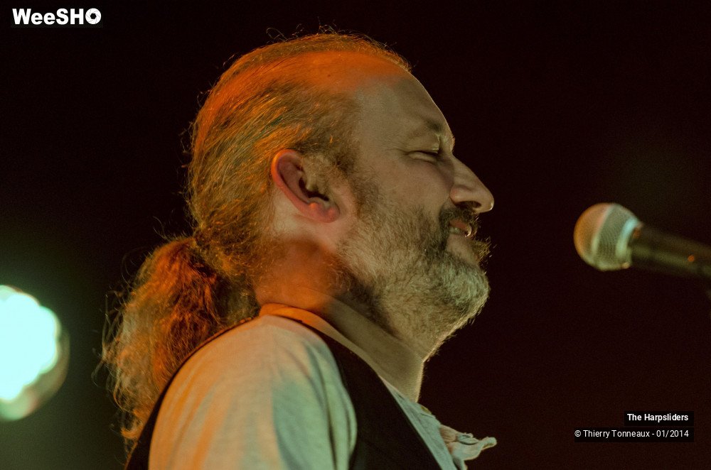 32/50 photos du spectacle The Harpsliders