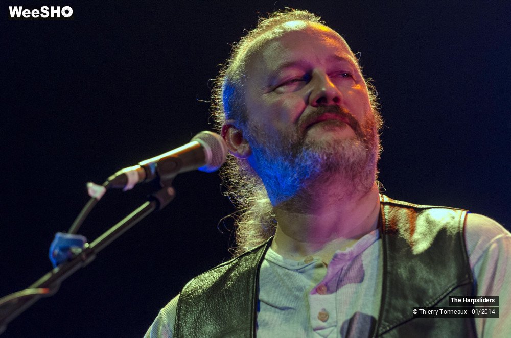 33/50 photos du spectacle The Harpsliders